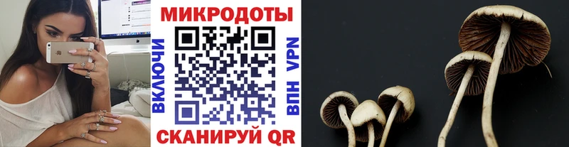 MEGA ссылки  Архангельск  Галлюциногенные грибы Psilocybine cubensis 