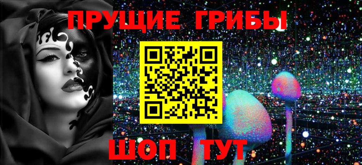 Псилоцибиновые грибы Psilocybine cubensis  Архангельск 