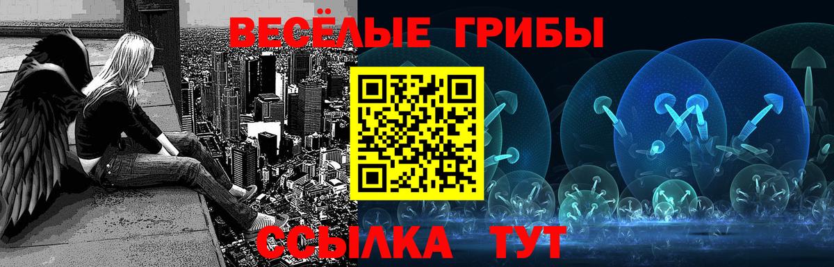 Архангельск  Галлюциногенные грибы Psilocybe  Вход с VPN 