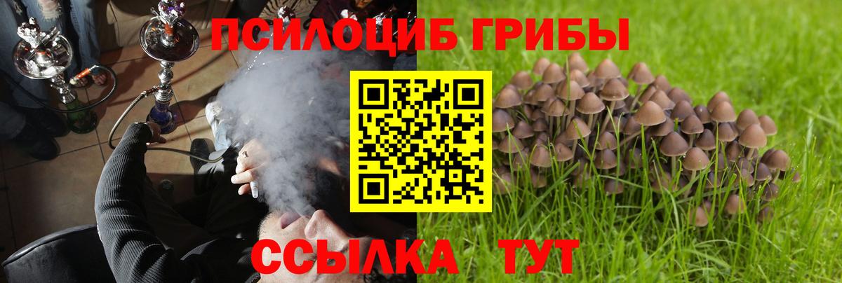 Псилоцибиновые грибы Magic Shrooms Архангельск